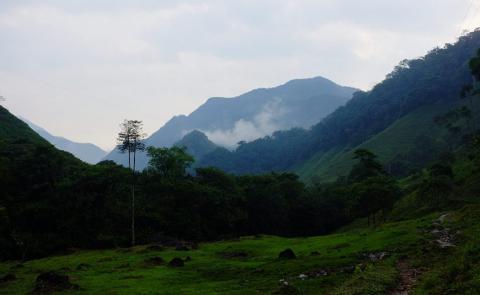 A lush green valley leads to misty mountains under a cloudy sky.