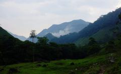 A lush green valley leads to misty mountains under a cloudy sky.