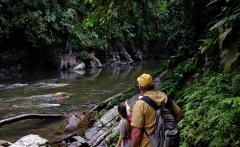 A man and a child are walking along a river in a lush, green forest.