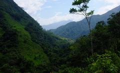 A lush, green mountain range under a partly cloudy sky, showcasing the natural beauty and dense vegetation of a tropical landscape.