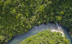 Aerial view of a river cutting through a dense, green rainforest.
