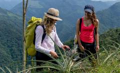 Two women hikers are exploring a mountainous terrain, the woman on the left wearing a hat, backpack, and white shirt, and the one on the right wearing a blue cap and pink top.