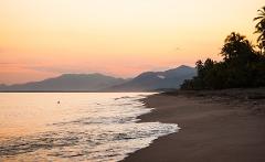 A tranquil beach scene at sunset with mountains in the background, palm trees on the right, and gentle waves lapping the shore.