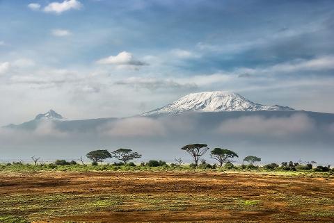A breathtaking view of Mount Kilimanjaro, partially obscured by clouds, rising above the African savanna with scattered trees in the foreground.
