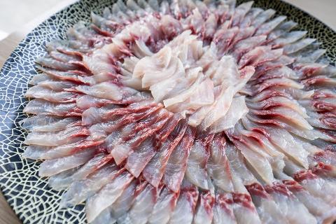 Discover 400 Years of Fishing Tradition on Lake Mikata A platter of thinly sliced raw fish, arranged in concentric circles on a decorative blue and white plate.