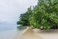 A serene beach scene with lush green trees lining the sandy shore, meeting the calm blue waters under a cloudy sky.