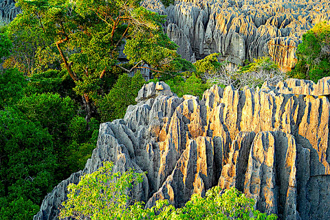 A landscape with towering limestone formations interspersed with lush green vegetation.