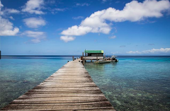 PNG Fife Bay Homestay and Tawali Resort Diving - 8 Days