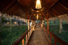 Two people are standing on a wooden bridge with a thatched roof, illuminated by lamps, looking out at the lush greenery and buildings beyond.