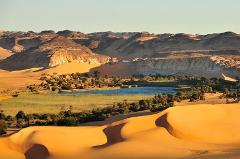A serene desert oasis with a tranquil blue lake, lush green reeds, and scattered palm trees, set against a backdrop of golden sand dunes and rugged, sun-drenched mountains.