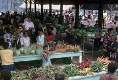 Here is a description of the image:A bustling outdoor market with vendors selling fresh produce under a shaded structure, showcasing the local culture and commerce of Goroka or Mount Hagen.