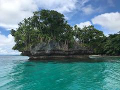 A captivating image showcasing a small, rocky island cloaked in lush greenery, surrounded by vibrant turquoise waters under a partly cloudy sky.