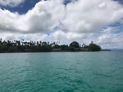 A scenic view of turquoise water meets a lush green shoreline with palm trees under a cloudy sky.