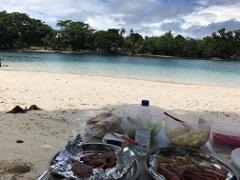 A picnic setup on a sandy beach with clear blue water and lush green trees in the background.