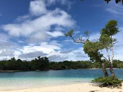 A tropical beach with clear turquoise water, a sandy shore, lush trees, and a partly cloudy blue sky.