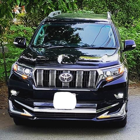 A black Toyota Land Cruiser Prado stands elegantly on a paved road, with lush greenery providing a vibrant backdrop.