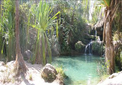 A scenic view of a clear blue pool with small waterfalls flowing into it, surrounded by lush green vegetation and trees.