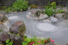 This captivating shot showcases a bubbling mud pool surrounded by lush greenery and rocks, creating a serene yet dynamic landscape.