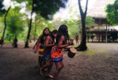 Panama City and Darien Gap Here's a description of the image:A blurry shot shows a group of indigenous women in colorful dresses playing drums outdoors, possibly performing a cultural dance in a village setting.