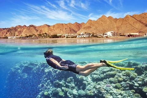 A snorkeler swims over a vibrant coral reef with a school of fish, with a coastal town and mountains in the background under a blue sky.