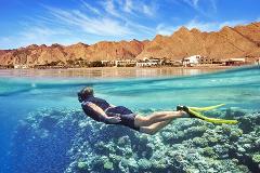 A snorkeler swims over a vibrant coral reef with a school of fish, with a coastal town and mountains in the background under a blue sky.