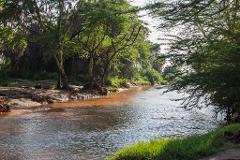 A scenic shot of a river winding through a lush, green landscape in Kenya, with trees lining the banks.