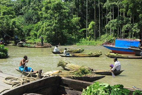 Men in boats transport sugarcane down a muddy river, with lush green foliage lining the banks and a blue and red larger boat moored to the side.