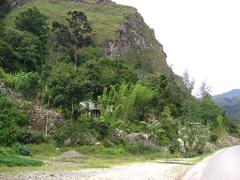 A lush, green landscape featuring a small house nestled amidst dense vegetation at the base of a rocky, grass-covered mountain, beside a paved road.