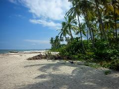 A beautiful beach with white sand, palm trees, and a small boat resting near the ocean under a blue sky.