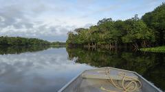 A metal boat navigates a calm river surrounded by lush green trees and a cloudy sky, reflecting the scenery in the still water.