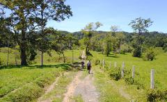 Two people are walking down a dirt path through a grassy field dotted with trees, leading towards a forest-covered hill under a clear blue sky.