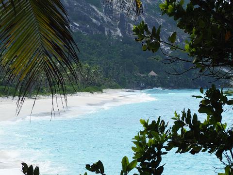 A tropical beach scene featuring turquoise water, white sand, lush greenery, and a rocky cliff, framed by palm leaves and foliage.
