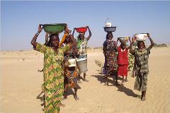 A group of African women and children walking across a sandy desert, carrying bowls and a bucket on their heads.