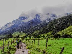 Paramo Trek Day Tour from Medellin A hiker walks on a muddy path through a lush green landscape with mountains in the background shrouded in mist.