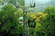 Darien Gap, Rainforest, and Culture from Panama A cable car ascends through a lush green forest, supported by a tall metal tower.