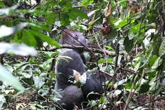 Nki National Park Nki National Park