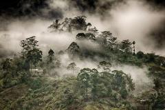 A misty, verdant hillside landscape with trees partially obscured by low-hanging clouds and hints of buildings nestled among the vegetation.
