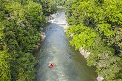A high-angle shot captures a river flowing through a lush green forest, with two rafts navigating the rapids.