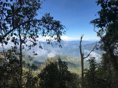 透过树木，可以看到霍加夫保护区的美景，蓝天下的山脉和云朵清晰可见。
