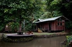 A small, cozy wooden cabin sits beside a pond with a circular patio in a lush, green forest setting.