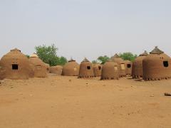 A cluster of traditional earthen houses with thatched roofs sits in a dry, dusty landscape under a pale sky, typical of a rural African village.