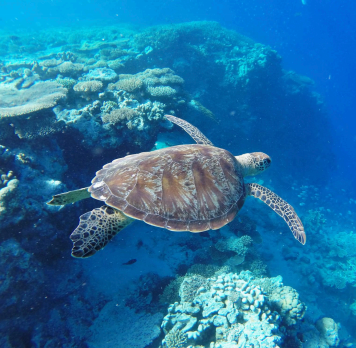 16 Captivating Facts About Mayotte Lagoon 