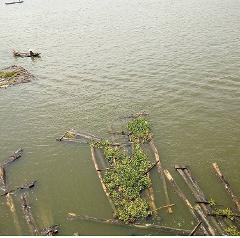 The photo shows a murky body of water with some wooden debris overgrown with plants floating, and in the distance, a small boat carrying people.