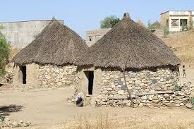 Here is a description of the image:Two traditional round stone huts with thatched cone-shaped roofs stand in a dusty landscape, likely in a rural African village.
