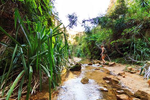 A woman with a backpack walks across a stream in a lush, green landscape.