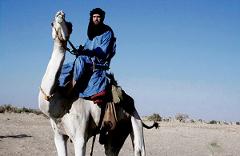 The Quest of the Tibesti Mountains A man in blue robes and a black head covering rides a white camel across a desert landscape under a clear blue sky.
