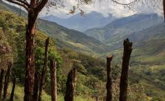 A scenic view of lush green mountains under a cloudy sky, framed by trees and wooden posts.