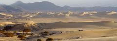 A scenic desert landscape with sand dunes, scattered trees, and distant mountains.