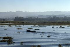 A man rows a boat across a lake covered in vegetation, with mountains and trees in the background.