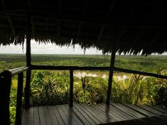 From a thatched hut's wooden deck, a view overlooks a dense green jungle and a wide river, under a hazy sky.